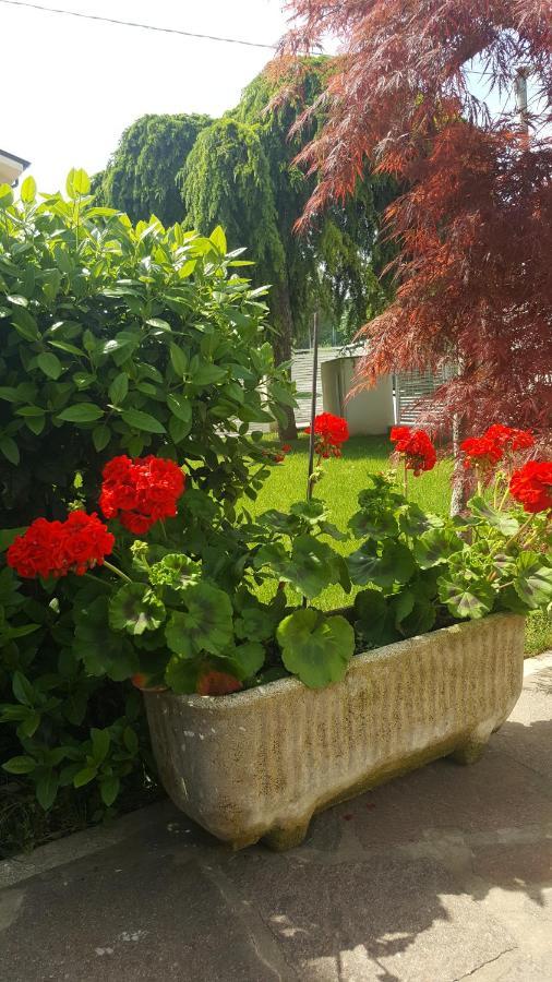 B&B "Al Colle 11" Фано Екстер'єр фото